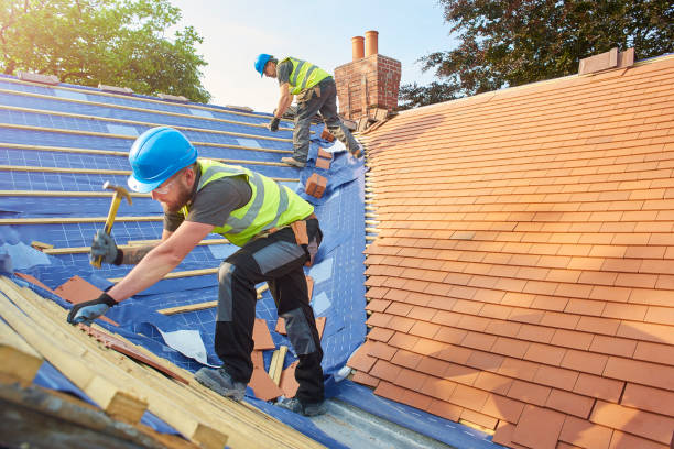 Best Asphalt Shingle Roofing  in Dermott, AR